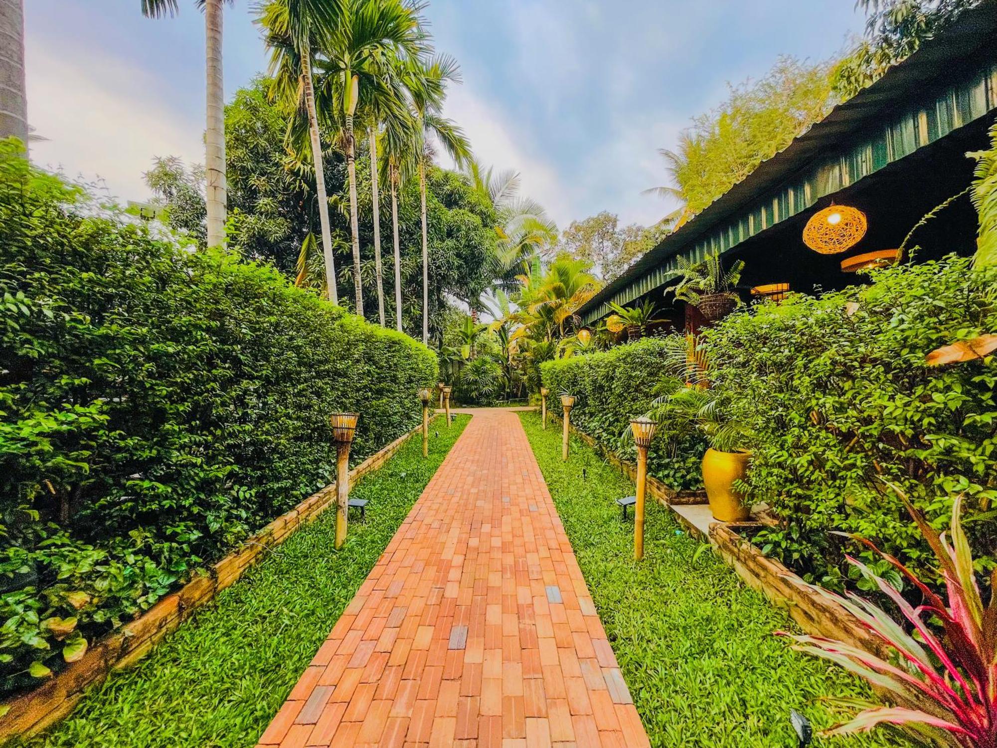 Indochine D'angkor